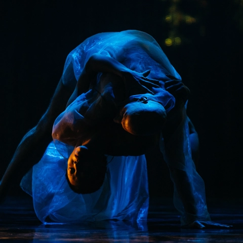 Evangeline Photo 2026 10